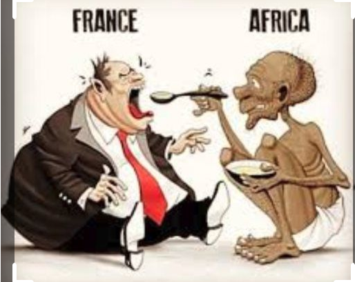 africa feeding france