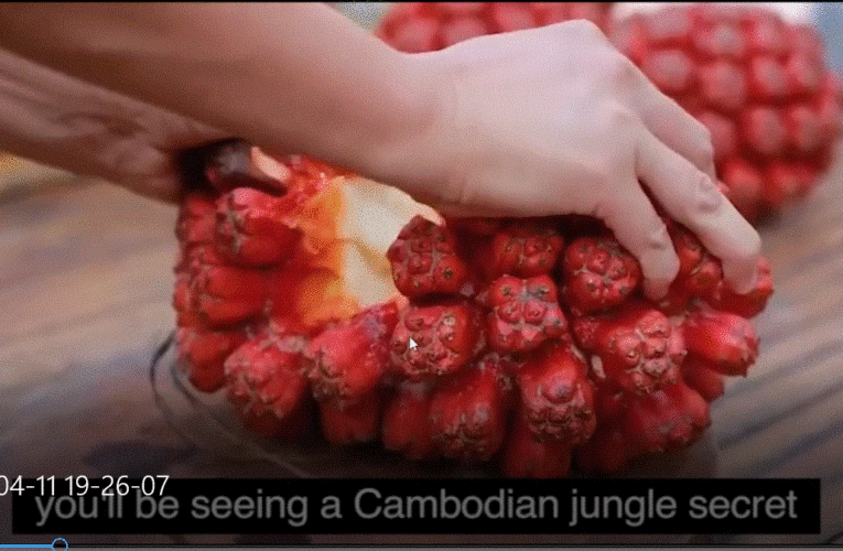 new discovered metabo flex herb diet pills